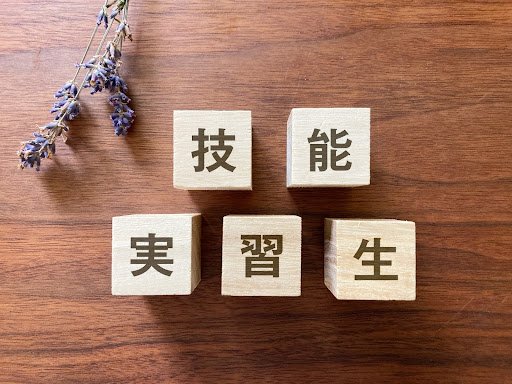 Panduan Lengkap Program Magang ke Jepang: Sejarah, Bidang Kerja, Manfaat, dan Tantangannya